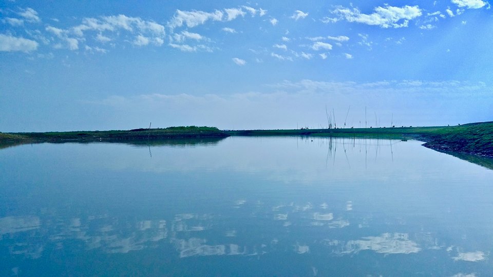 গুনাই নদী