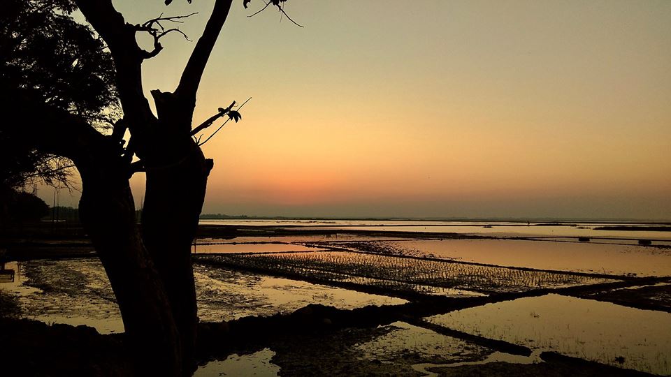 শনির হাওড়ে সূর্যোদয়