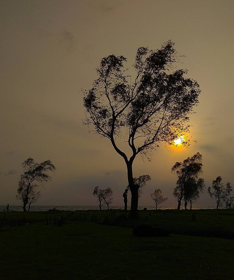 গুলিয়াখালি সী বিচ 