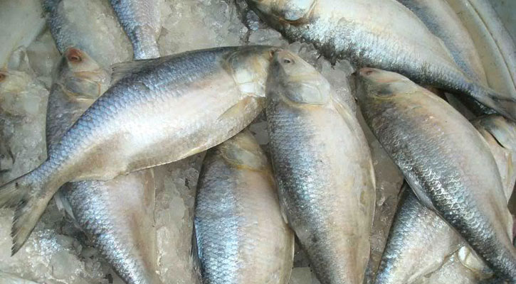 ইলিশের বাজার