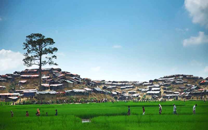 এক হাজার দুইশ ল্যাট্রিন ও নলকূপ স্থাপন
