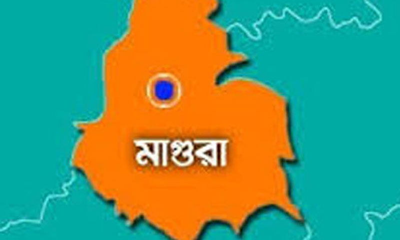 পোলট্রি খামারে দুই বন্ধুর লাশ