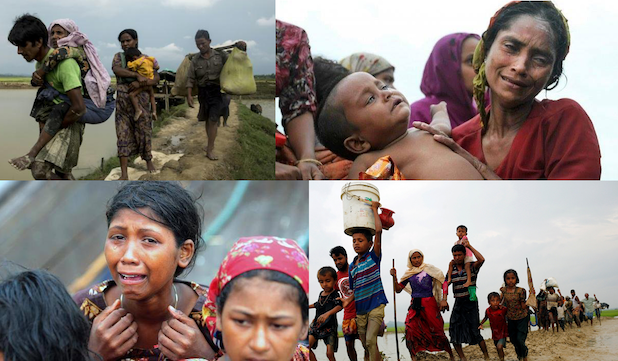 রোহিঙ্গা সংকটে উদ্বিগ্ন জাপান