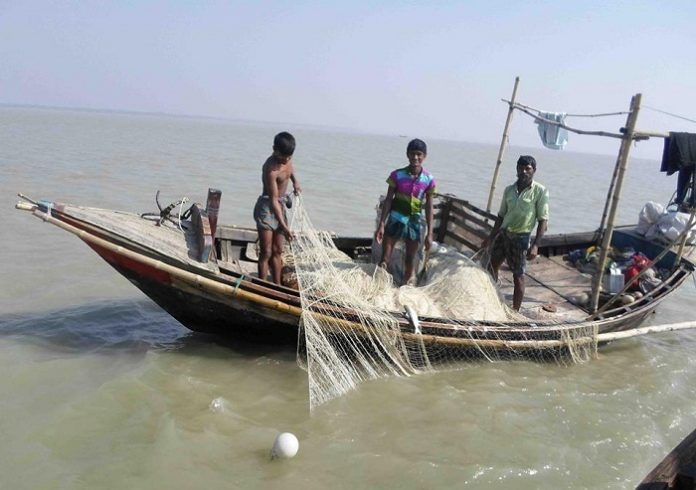 নদ-নদীতে ফের ইলিশ ধরা শুরু