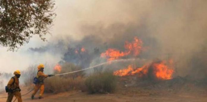 ভয়াবহ দাবানল ক্যালিফোর্নিয়ায়