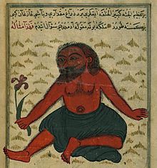ইয়াজুজ মাজুজ