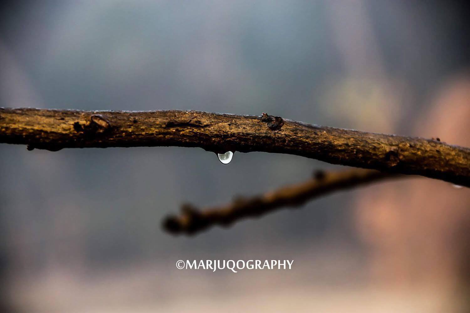 ডা: মারজুক আল তুহিন