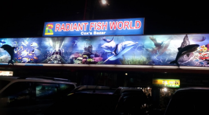 Radiant Fish world