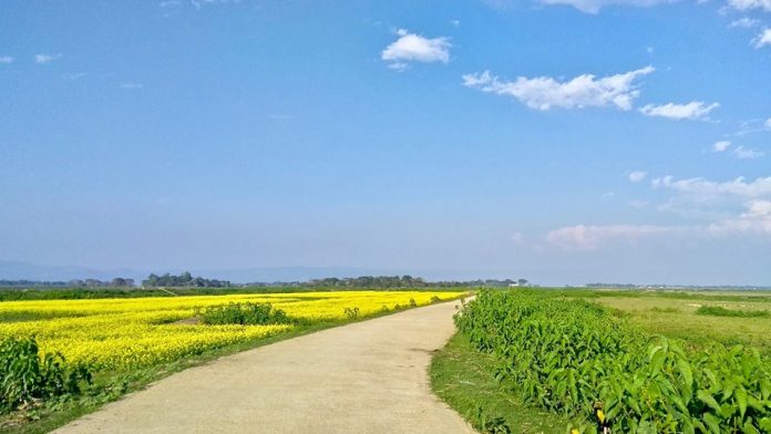 তাহিরপুর যাবার পথে চলন্ত বাইক থেকে তোলা