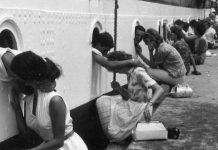 গত শতাব্দীর কিছু ঐতিহাসিক ছবি; যা দেখলে অবাক হবেন (পর্ব-১) historical photo