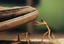 ঘাতজন ঘাতজন