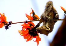 প্রকৃতির চিত্রকাব্য – দ্বিতীয় পর্ব Matrix স্ট্যাইলে খানাপিনা চলছে