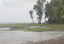 এই বর্ষায় ঘুরে আসুন ভোলার বিচ্ছিন্ন দ্বীপ উপজেলা মনপুরায় মনপুরা