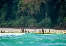 কেন ভ্রমণপিপাসুদের জন্য লোভনীয়, কিন্তু নিষিদ্ধ এই দ্বীপ? সেন্টিনেল দ্বীপ