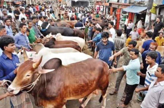 কোরবানি পশুর হাট নিয়ে কি ভাবছে সরকার?