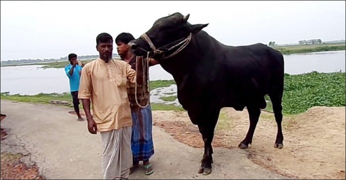 untitled-14-20210712165148