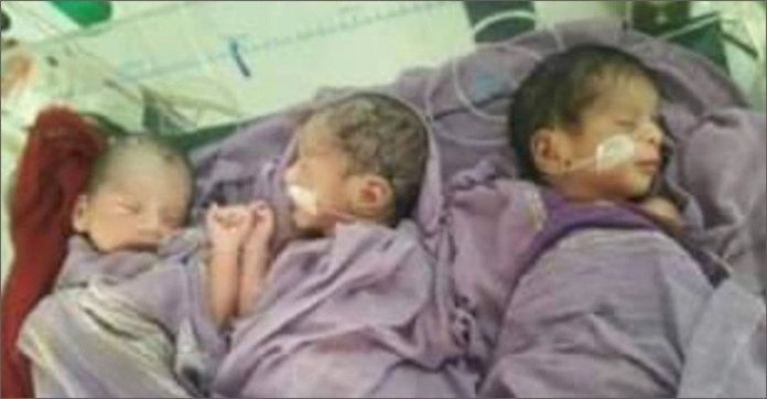 একসঙ্গে দুই ছেলে ও এক মেয়ের জন্ম দিলেন লাকী