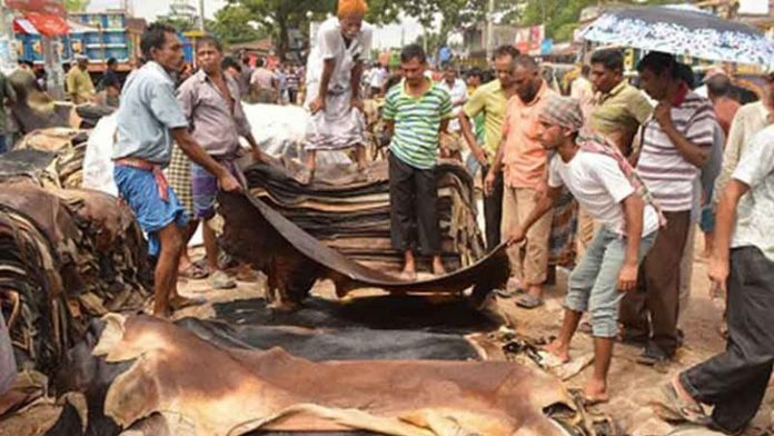পানির চেয়েও কম দামে বিক্রি হচ্ছে চামড়া