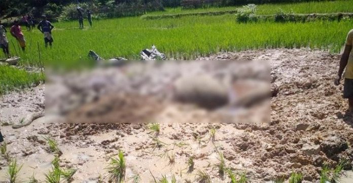 বন্য মা-হাতির বৈদ্যুতিক ফাঁদে আটকে মৃত্যু, আটক ১