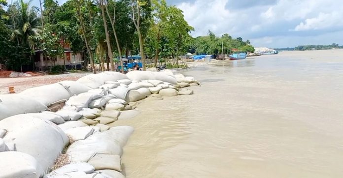ভাঙ্গন আতঙ্ক বাড়ছে পদ্মার পাড়ে